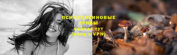 амфетамин Аркадак
