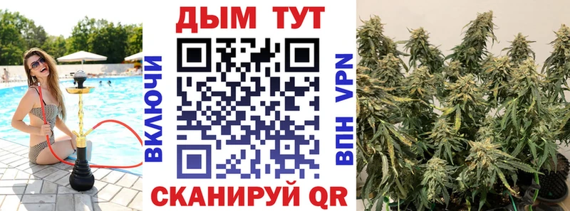 Бошки Шишки гибрид Армянск